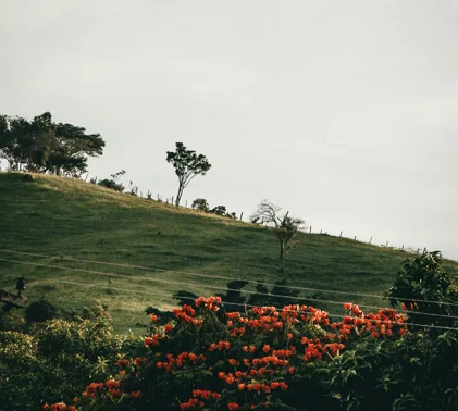 Empréstimo em Amparo: Crédito rápido e fácil