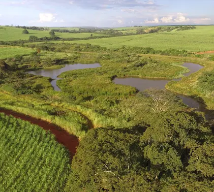 Empréstimo em Araraquara: Crédito rápido e fácil