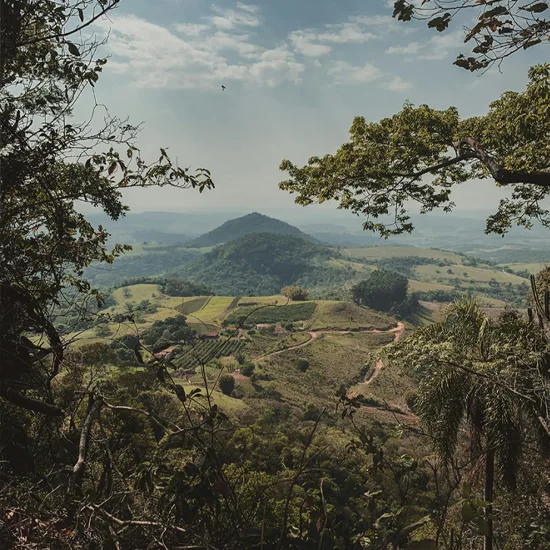 Buscando por empréstimo em Botucatu?