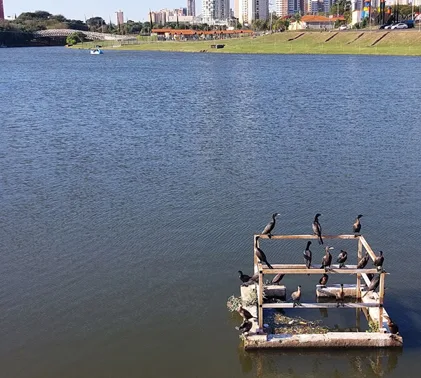 Empréstimo em Indaiatuba: Crédito rápido e fácil