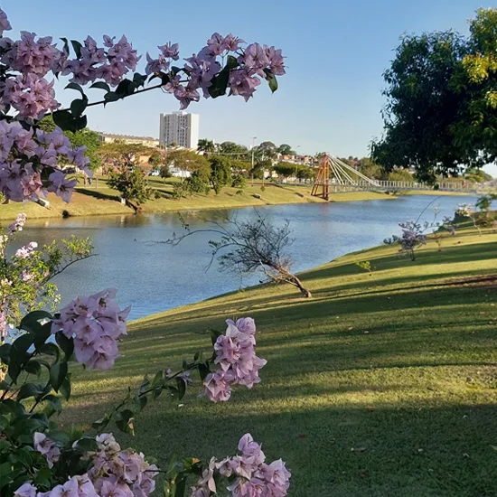 Buscando por empréstimo em Indaiatuba?