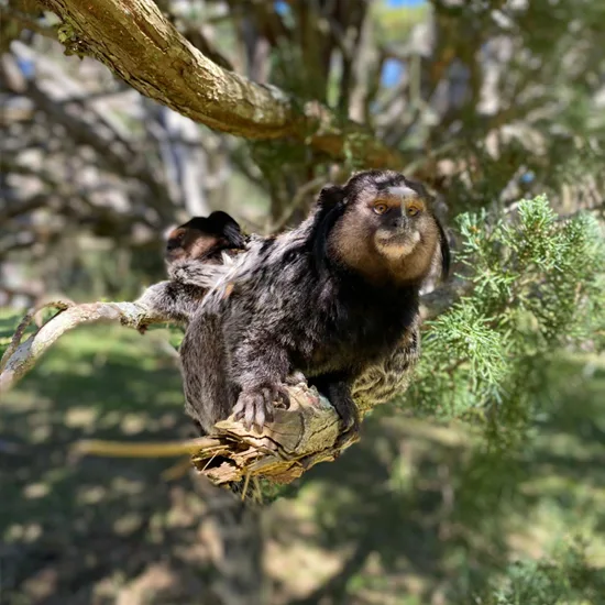 Buscando por empréstimo em Nova Friburgo?