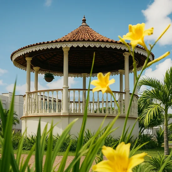 Buscando por empréstimo em Patos de Minas?